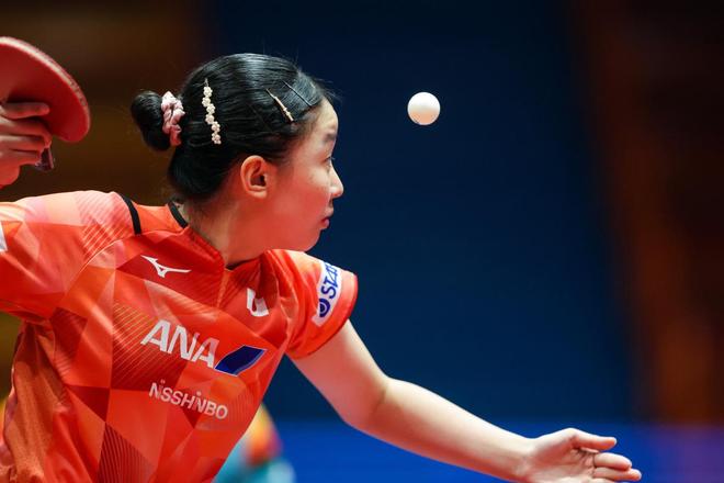 案例分析 案例分析