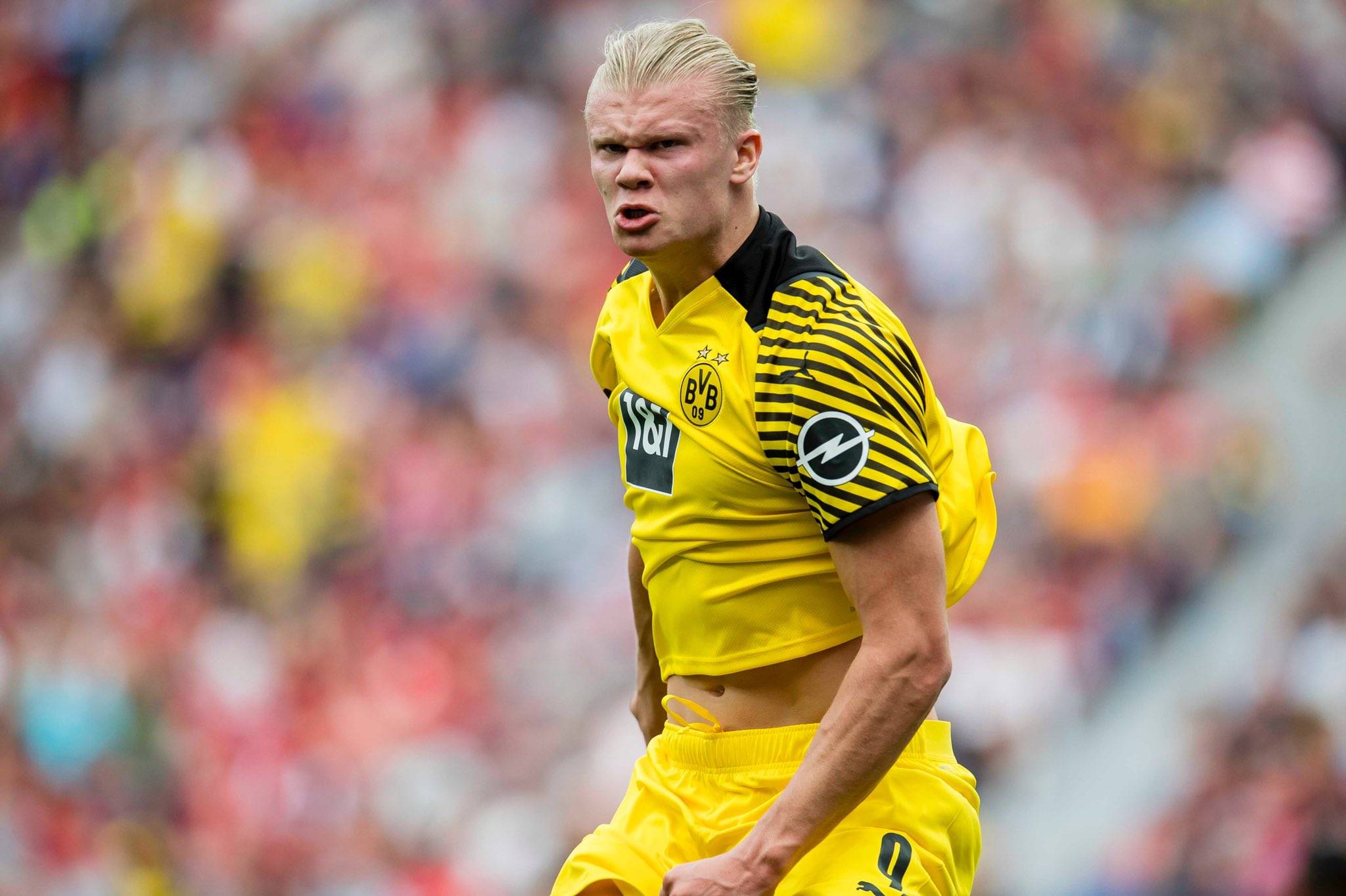 放在可预测 放在可预测