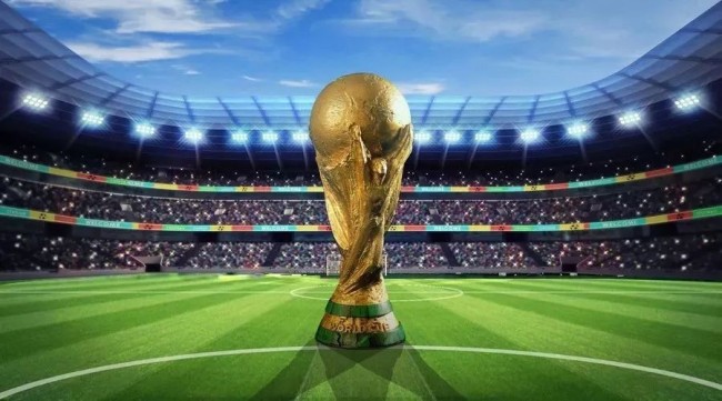 试图追回 试图追回